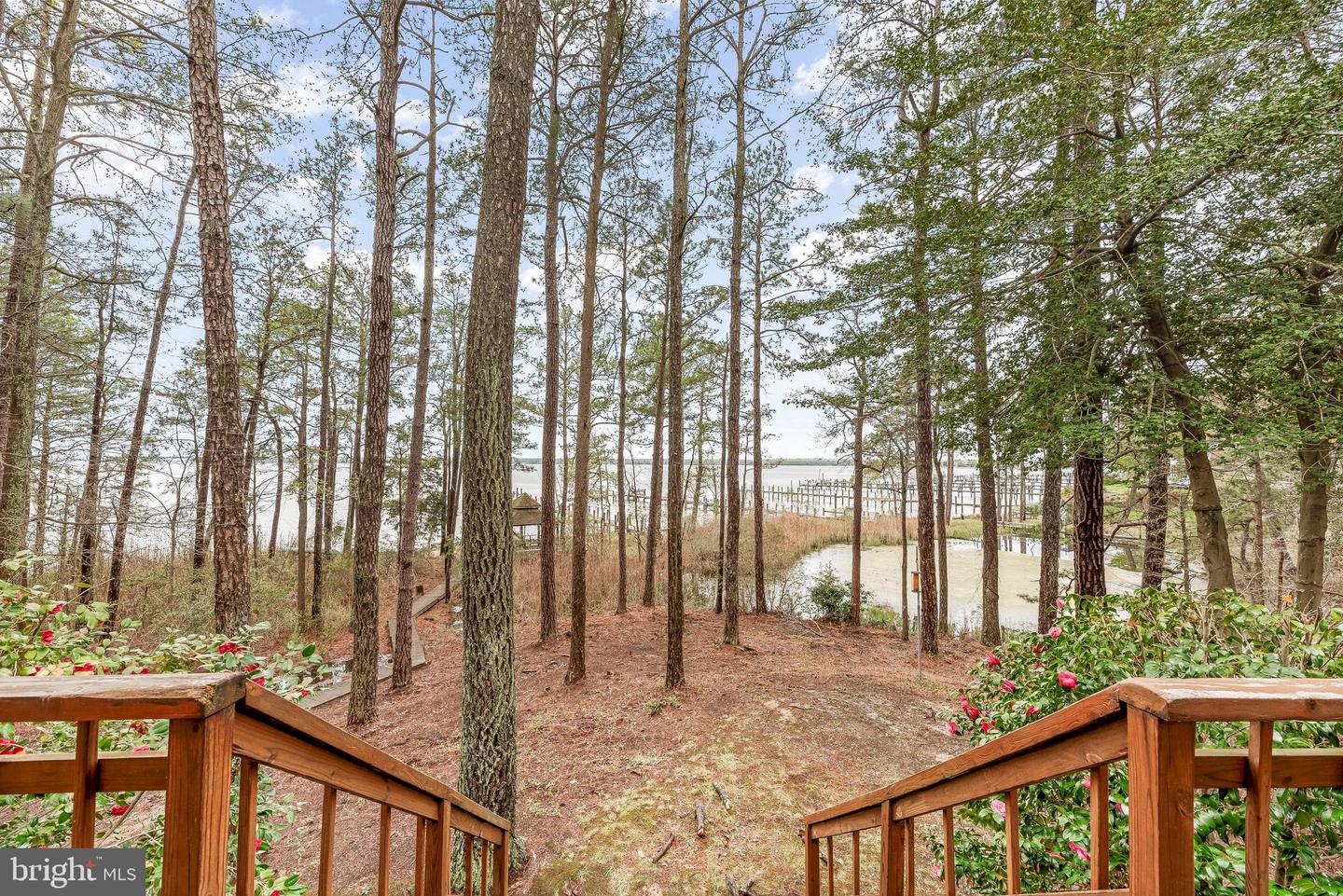 13122 Patuxent Dr Property Photo 10