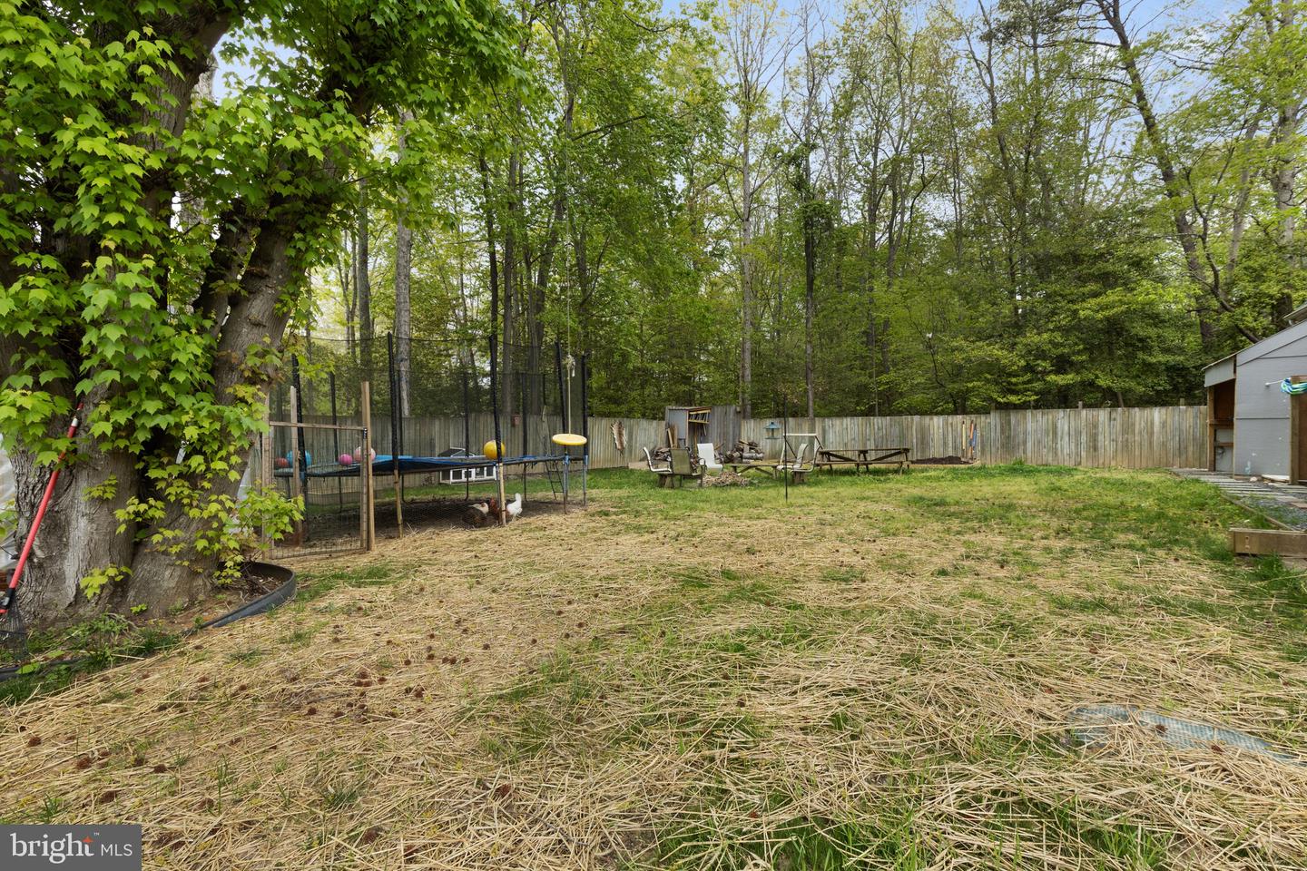 12115 Long Wolf Ln Property Photo 29