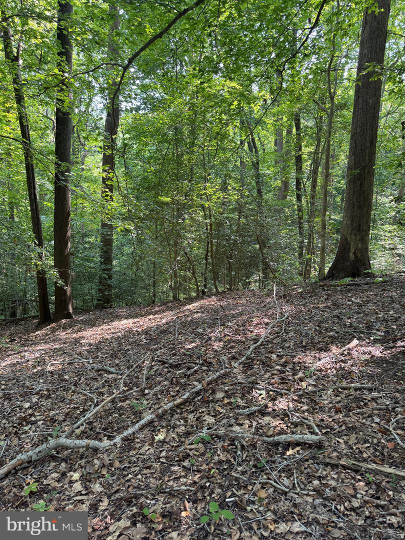 4685 Camp Roosevelt Dr Property Photo 1