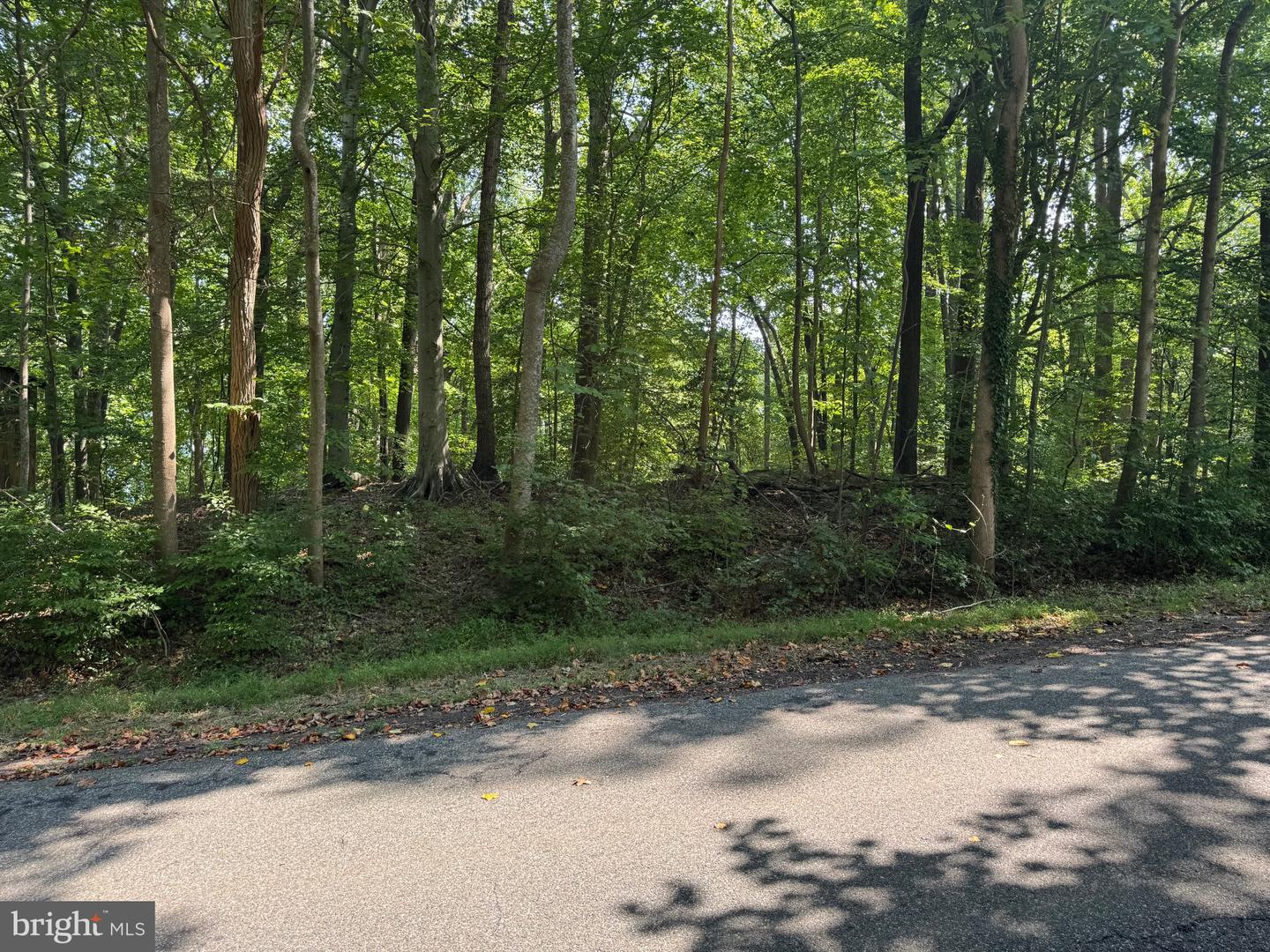 4685 Camp Roosevelt Dr Property Photo 4
