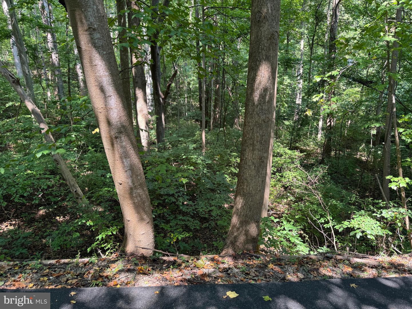 4685 Camp Roosevelt Dr Property Photo 5
