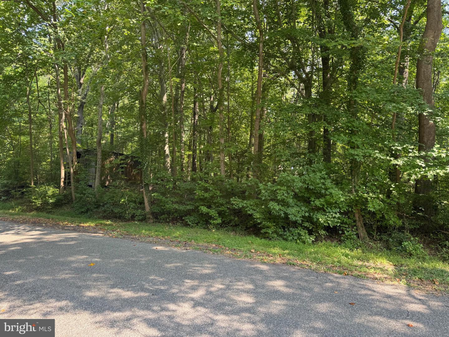 4685 Camp Roosevelt Dr Property Photo 7