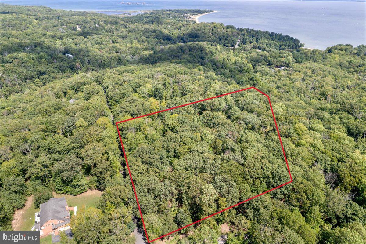 11870 Blue Point Ct Property Photo 1