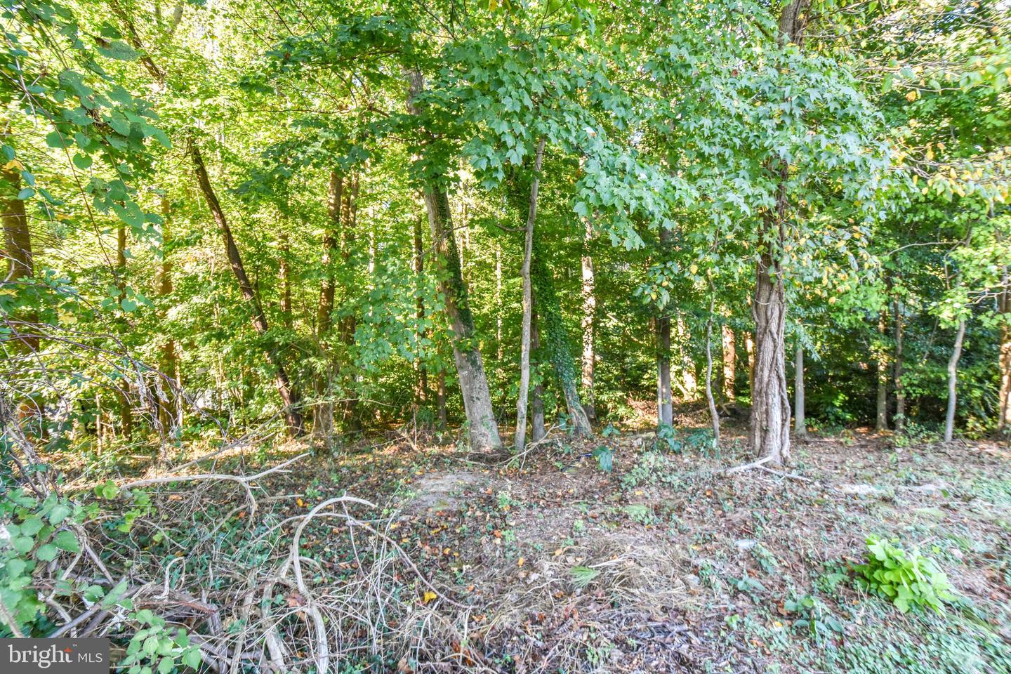 6041 Hill Rd Property Photo 6