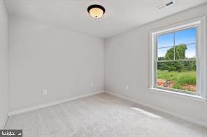 8314 Bayside Rd Property Photo 12
