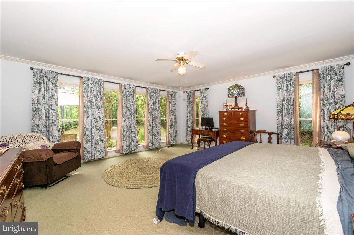 12124 Palisades Dr Property Photo 70