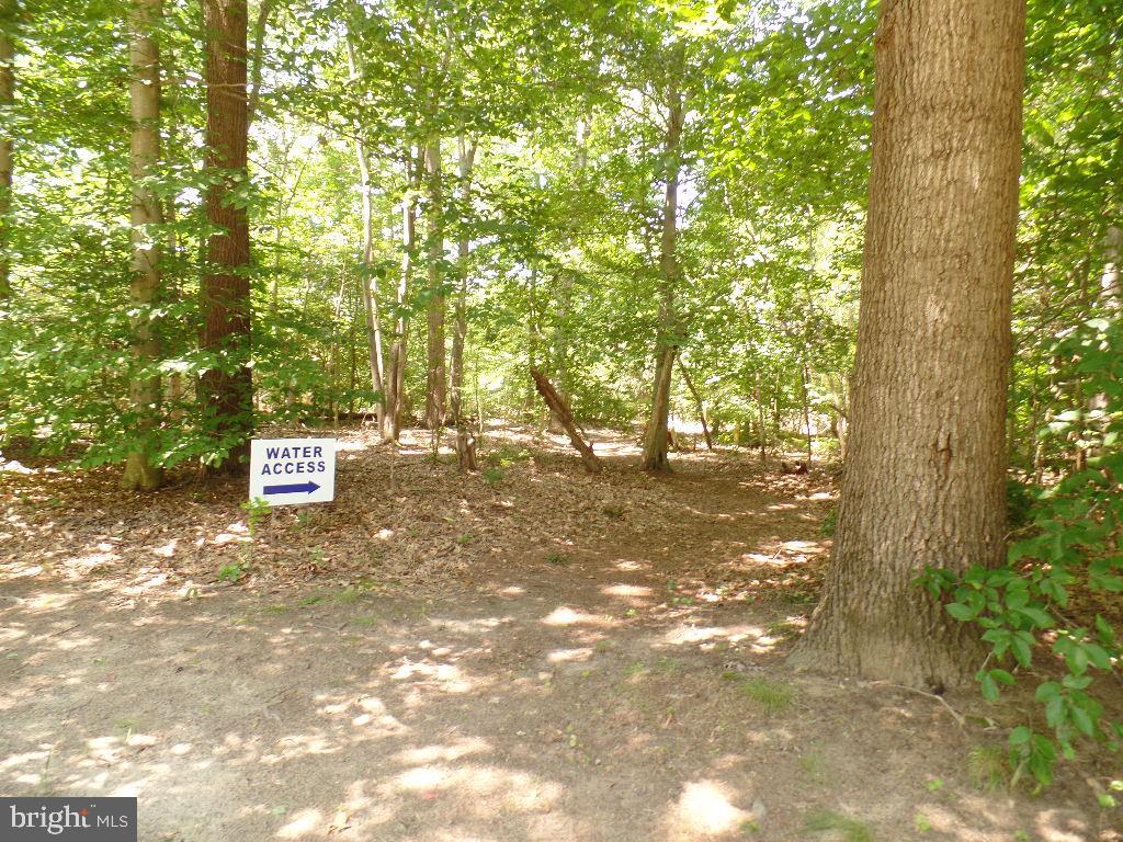12124 Palisades Dr Property Photo 126