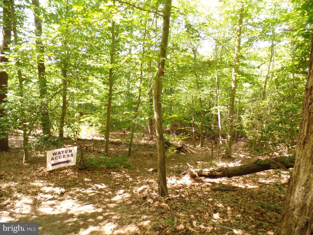 12124 Palisades Dr Property Photo 127