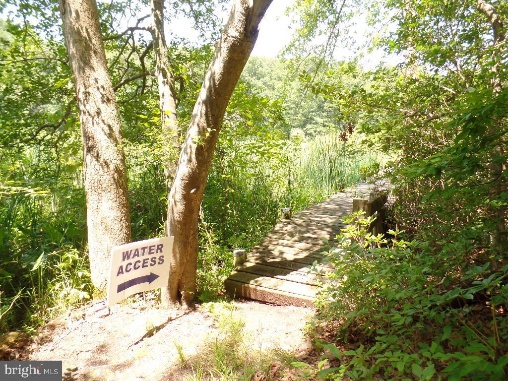 12124 Palisades Dr Property Photo 129