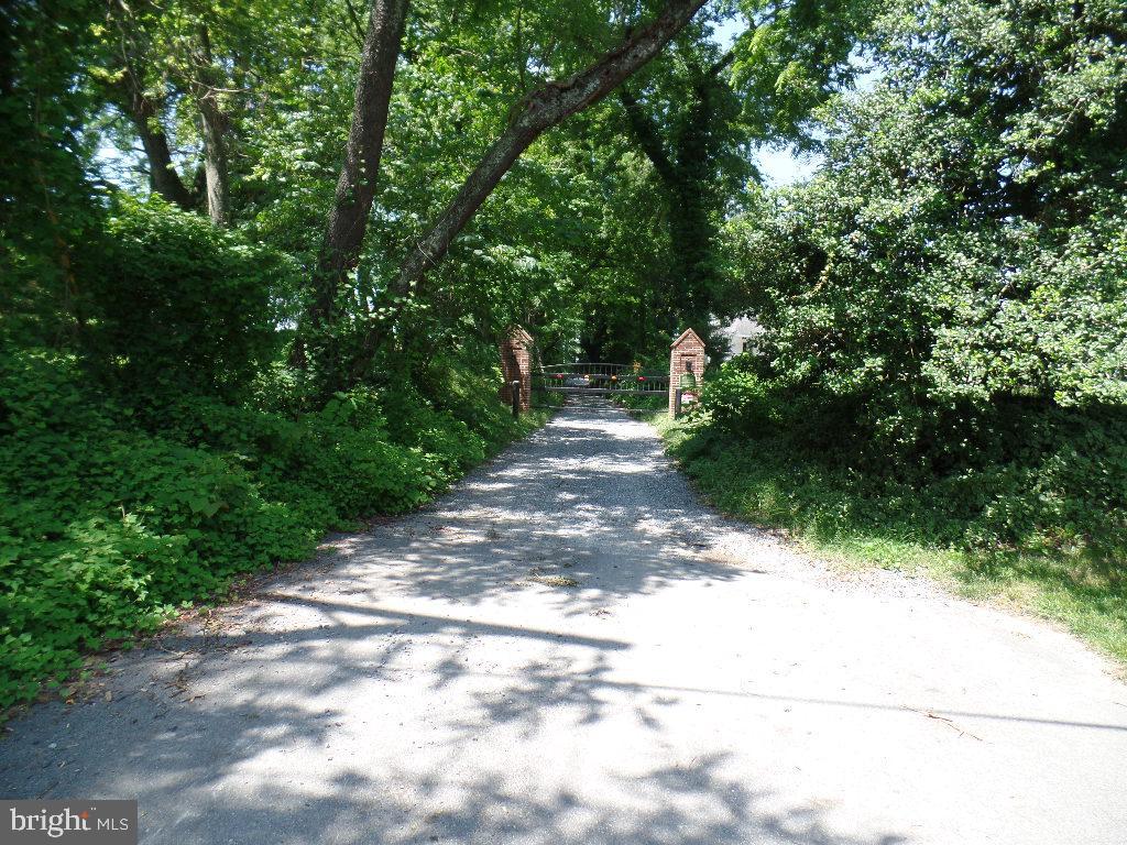 12124 Palisades Dr Property Photo 136