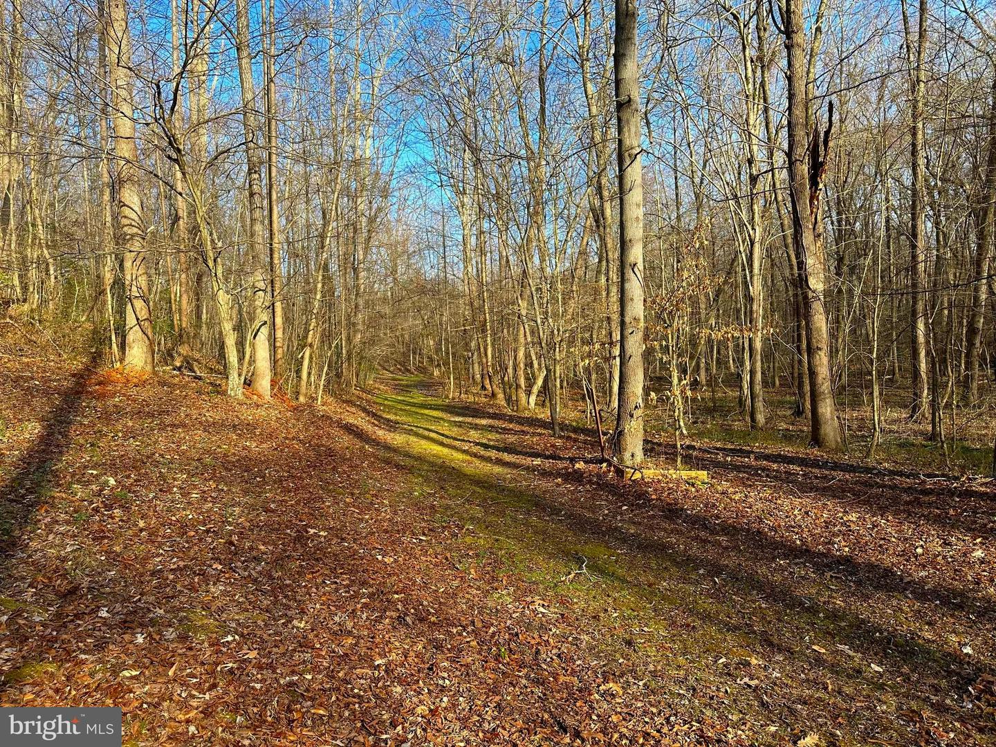 Lot 30 A Property Photo 1