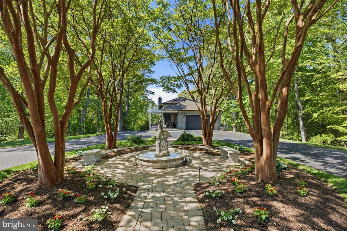 7335 Perry Ln Property Photo 10