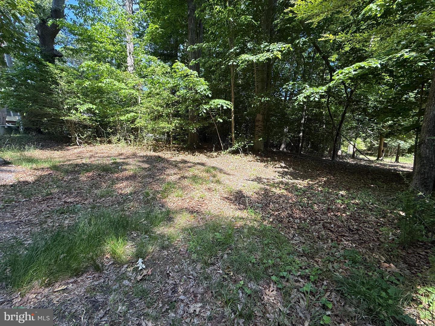 12661 Holly Cir Property Photo 2