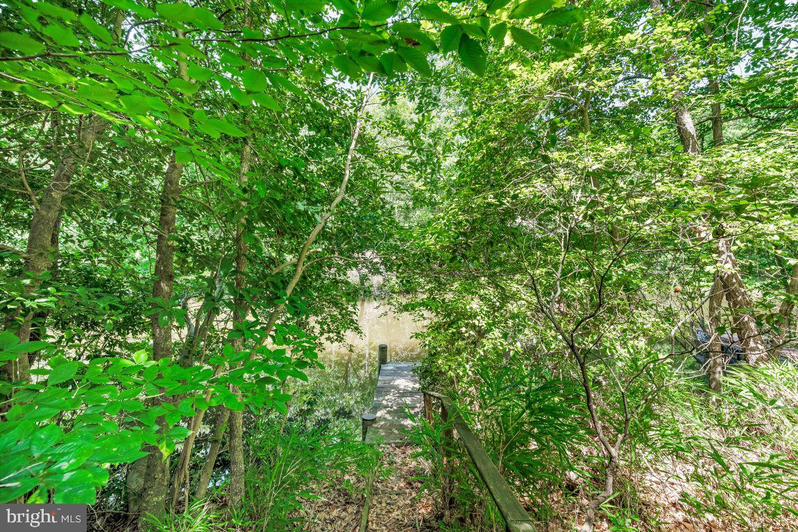 11639 Sidewinder Ln Property Photo 7