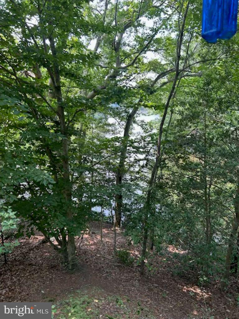 11639 Sidewinder Ln Property Photo 8