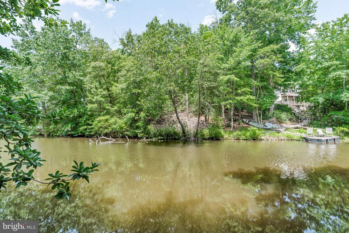 11639 Sidewinder Ln Property Photo 10