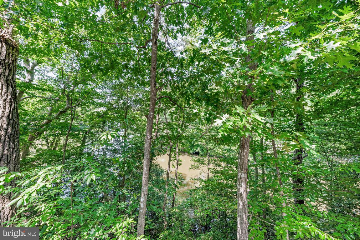 11639 Sidewinder Ln Property Photo 12