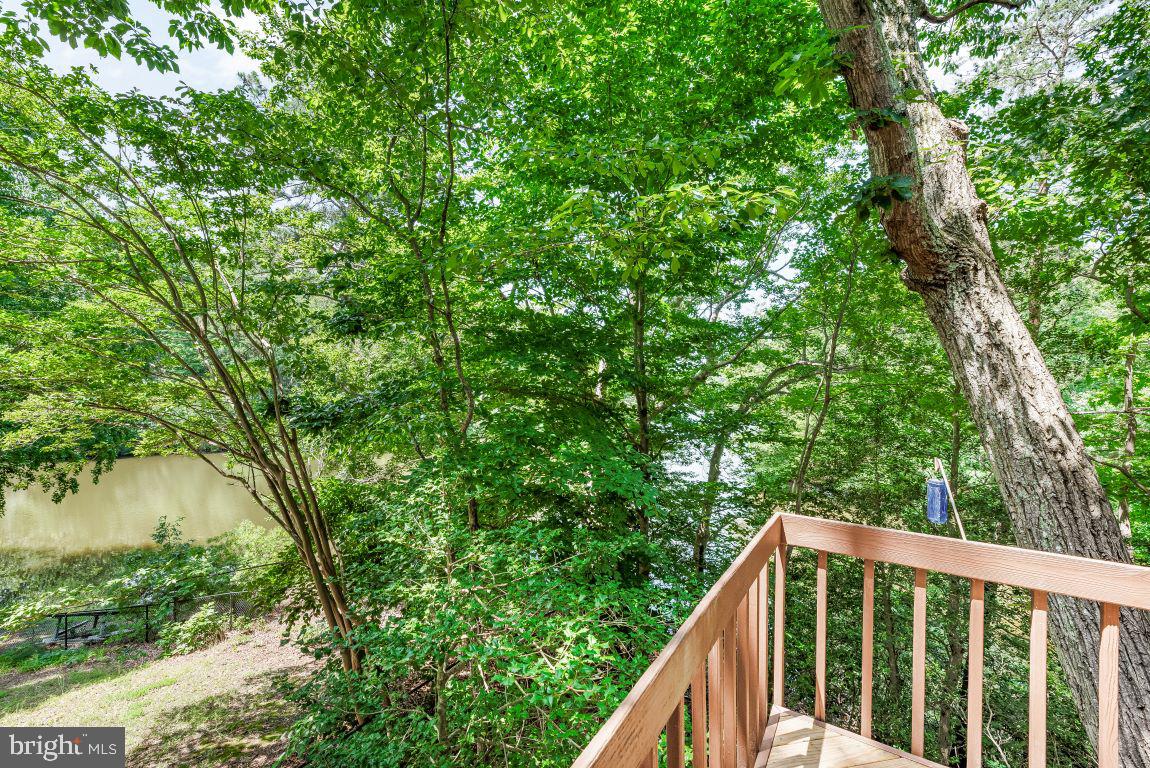 11639 Sidewinder Ln Property Photo 13