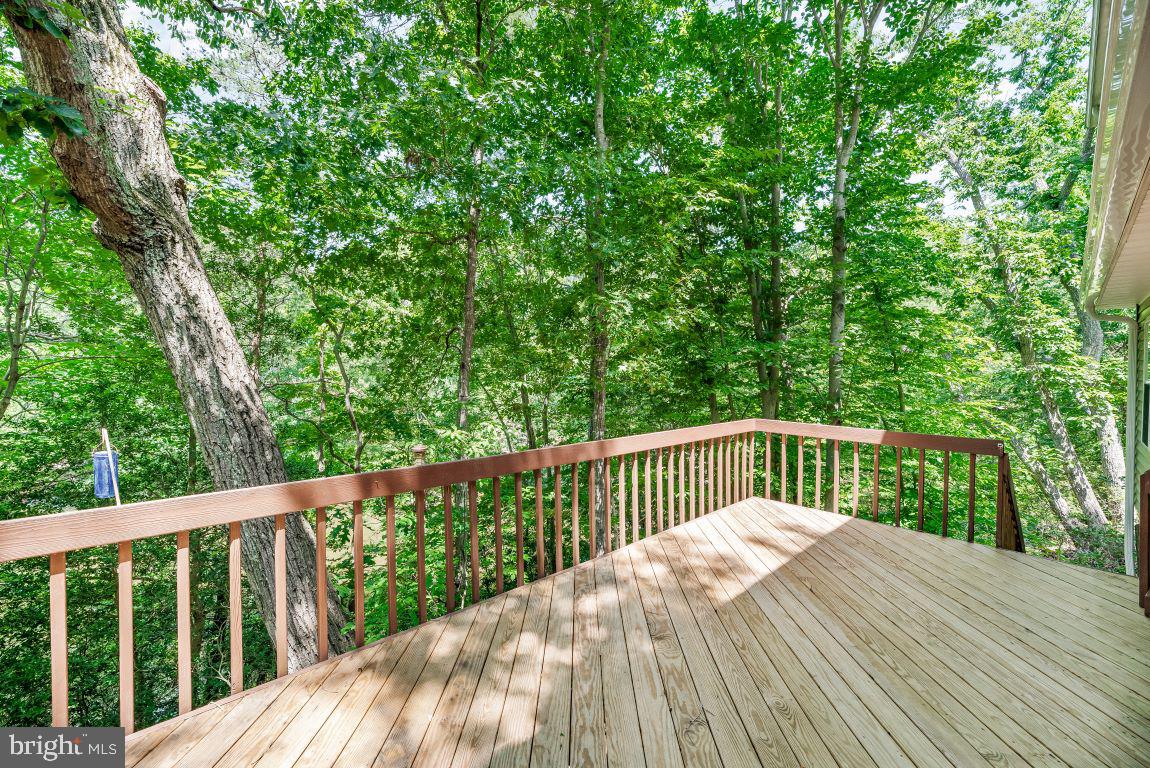 11639 Sidewinder Ln Property Photo 14