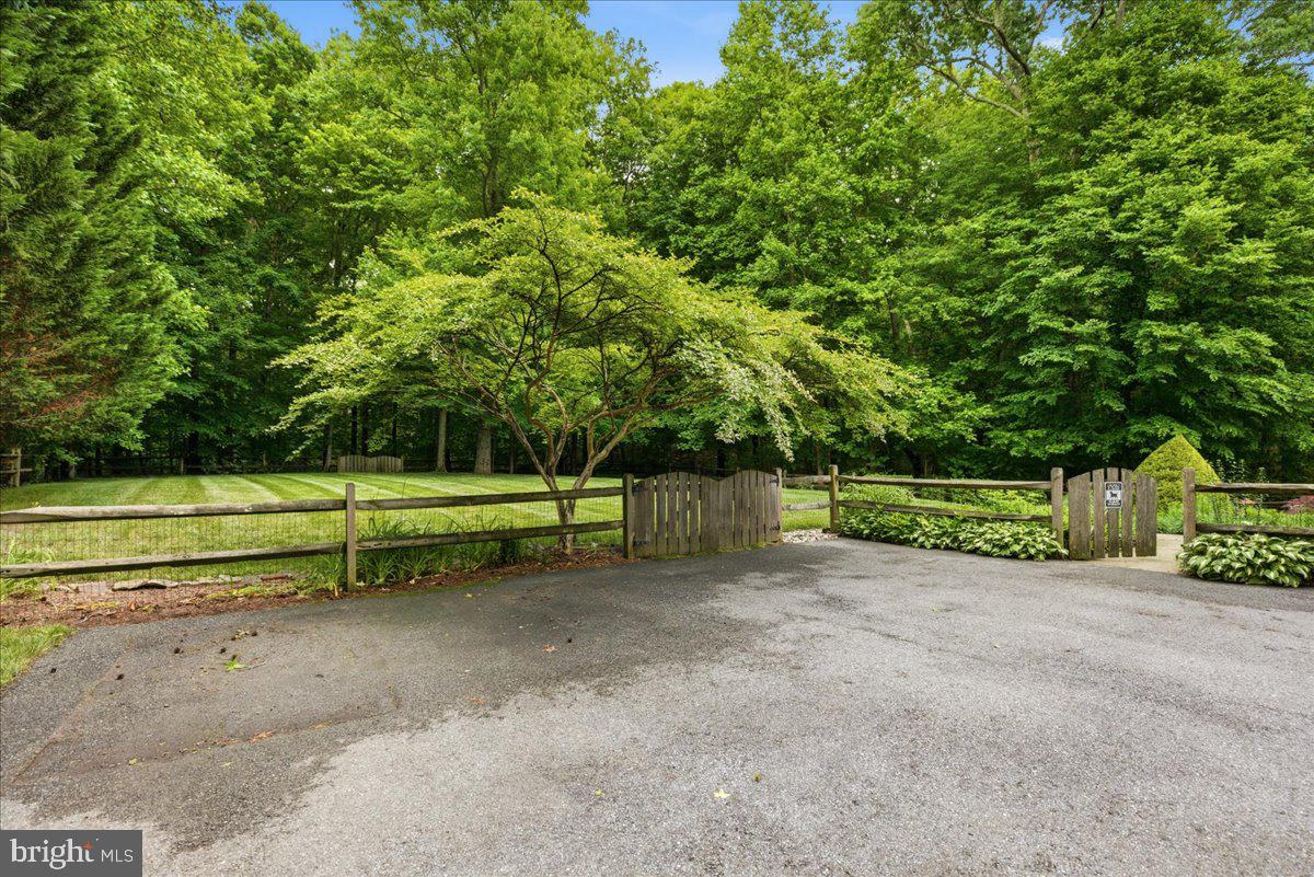 12033 Steven Ln Property Photo 15