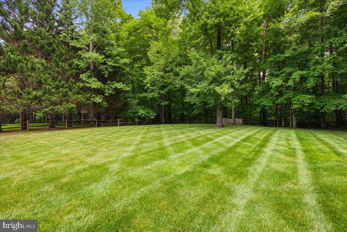 12033 Steven Ln Property Photo 17