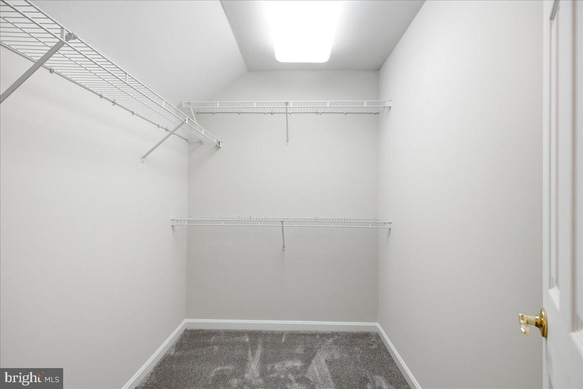 12033 Steven Ln Property Photo 61