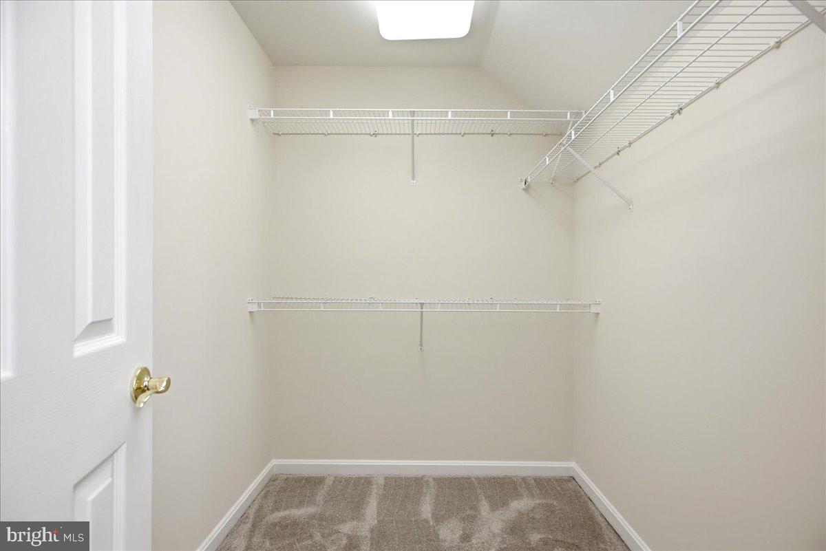 12033 Steven Ln Property Photo 68