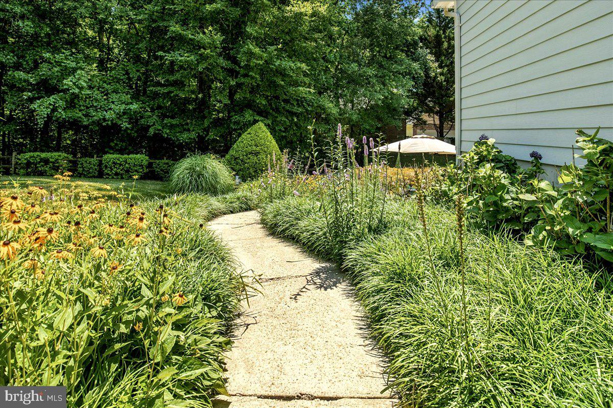 12033 Steven Ln Property Photo 91