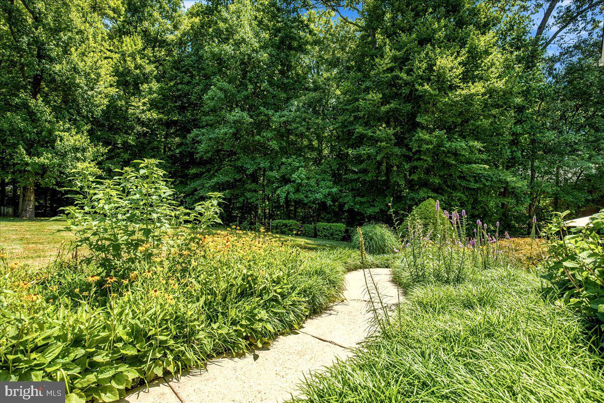 12033 Steven Ln Property Photo 100