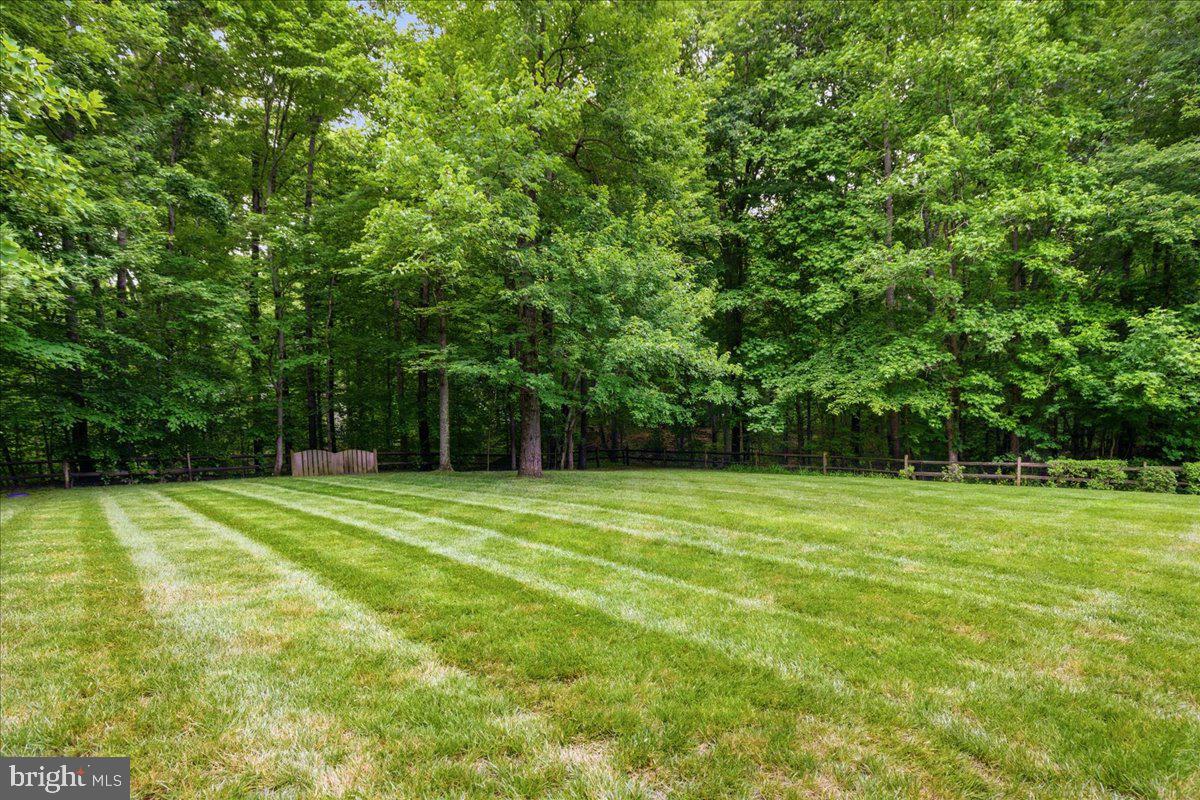 12033 Steven Ln Property Photo 102