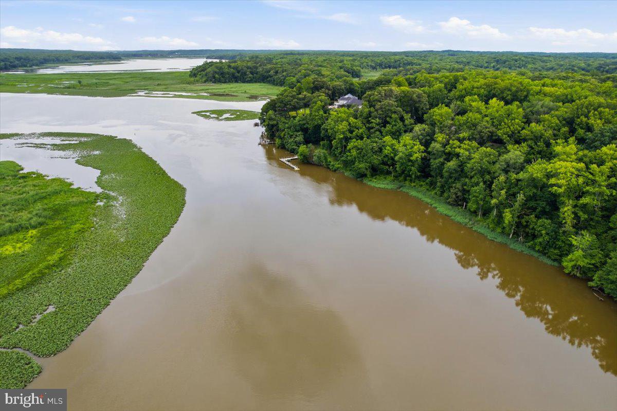 12033 Steven Ln Property Photo 117
