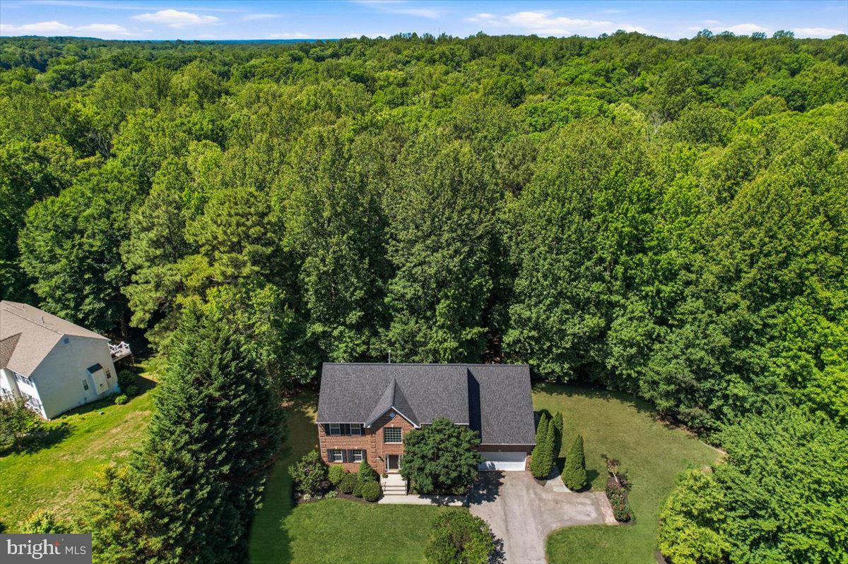 2424 Springbrook Ct Property Photo 6