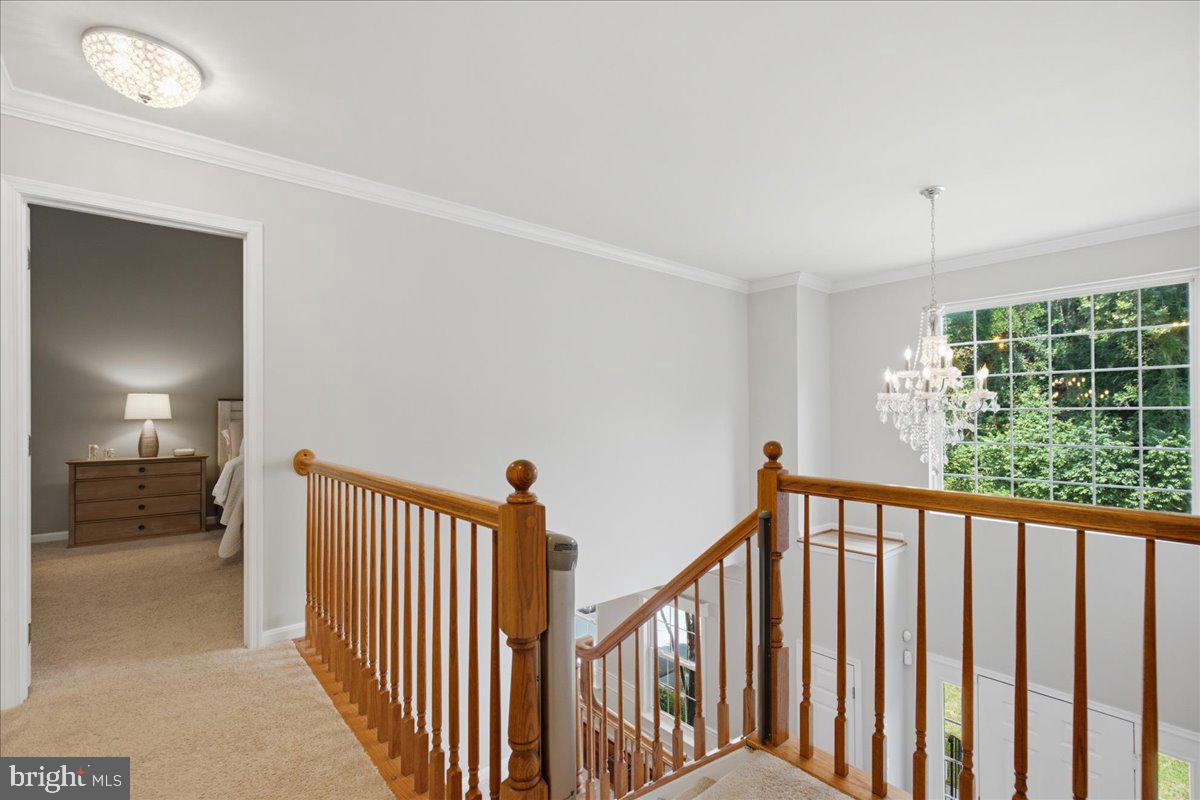 2424 Springbrook Ct Property Photo 48