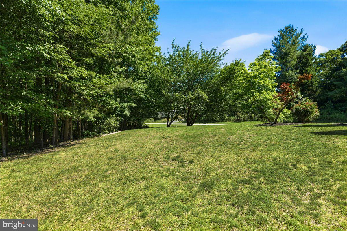 2424 Springbrook Ct Property Photo 91