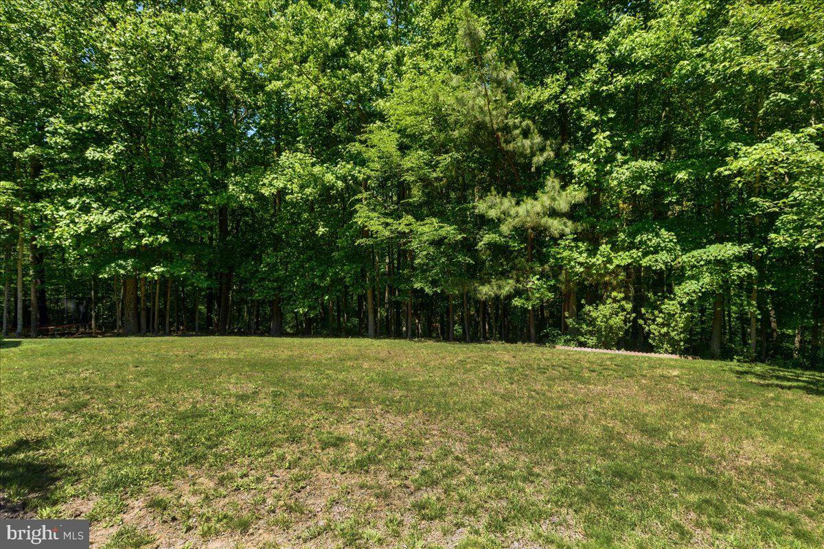 2424 Springbrook Ct Property Photo 92
