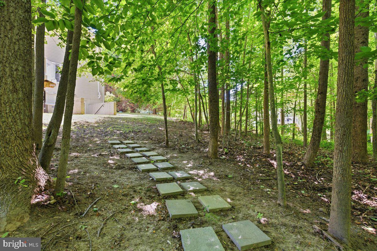 2424 Springbrook Ct Property Photo 96