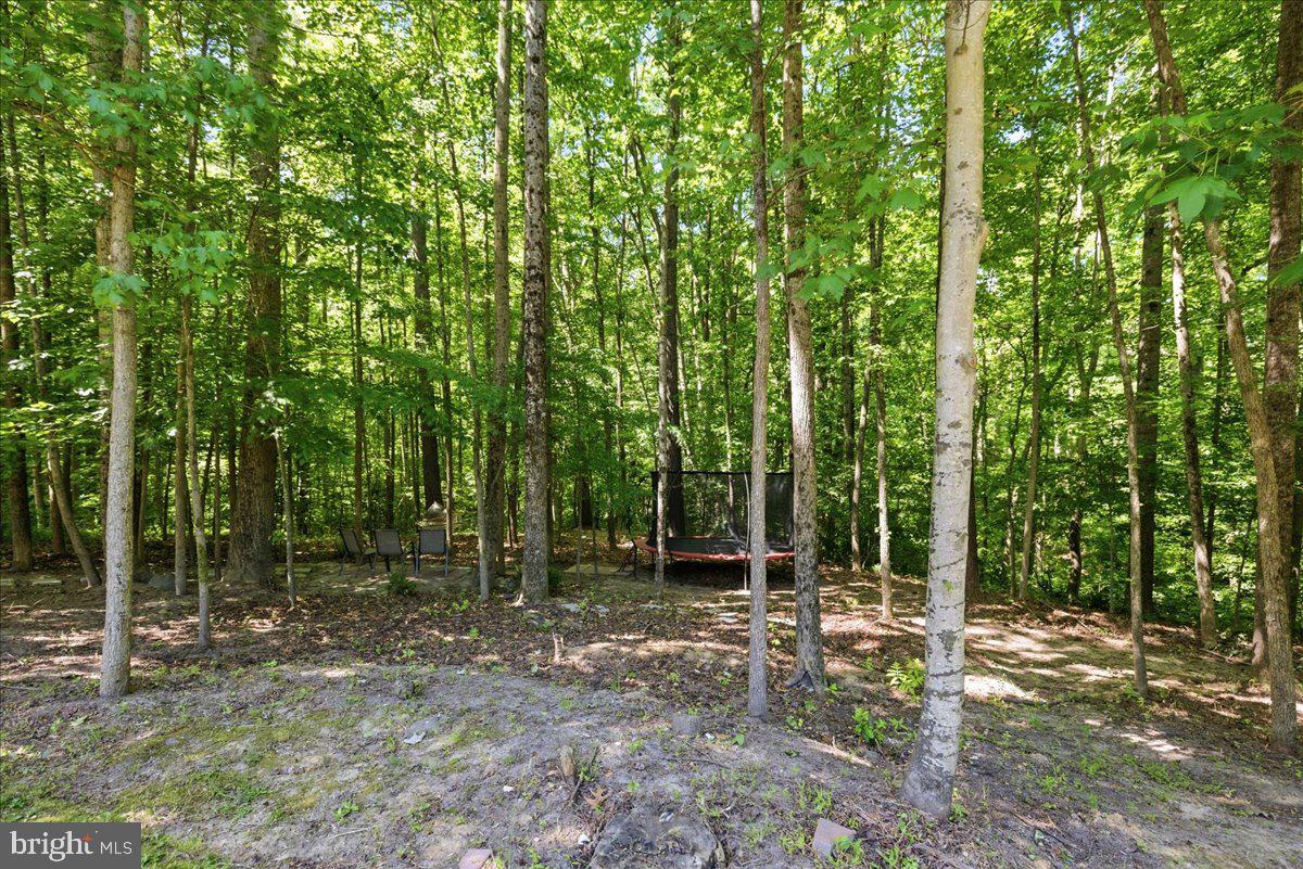 2424 Springbrook Ct Property Photo 97