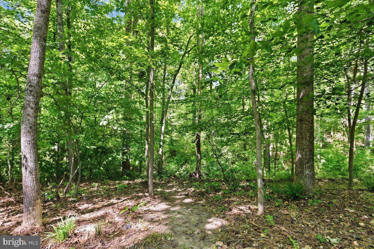 2424 Springbrook Ct Property Photo 99