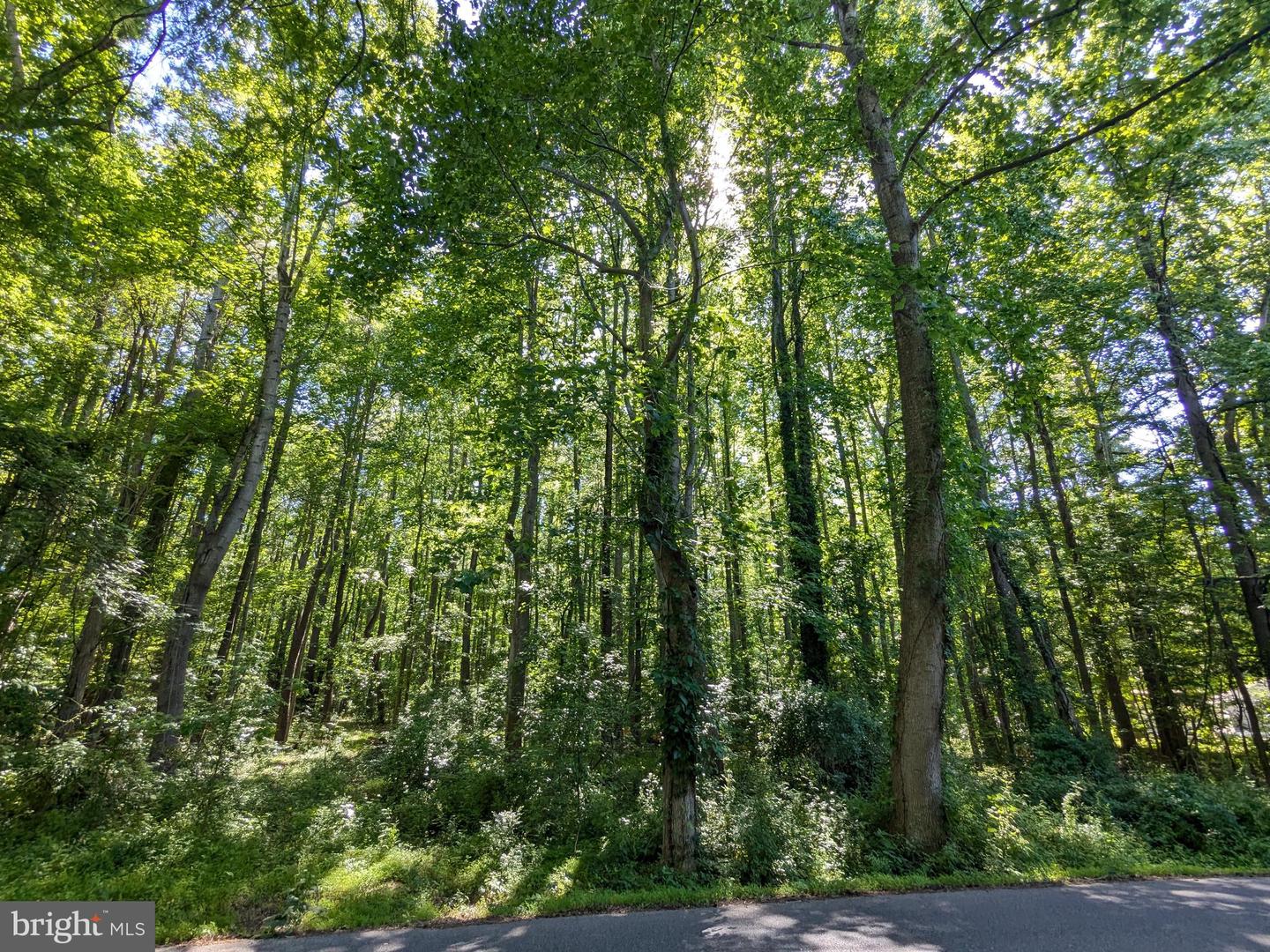 1260 Lottie Fowler Rd Property Photo 6
