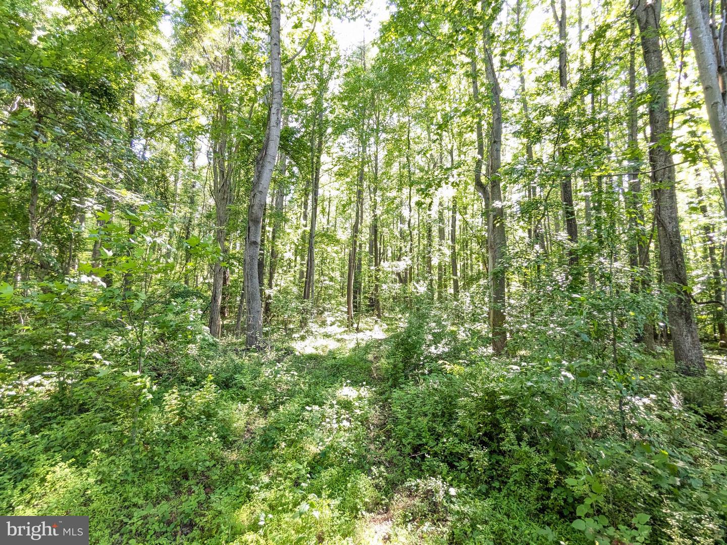 1260 Lottie Fowler Rd Property Photo 10