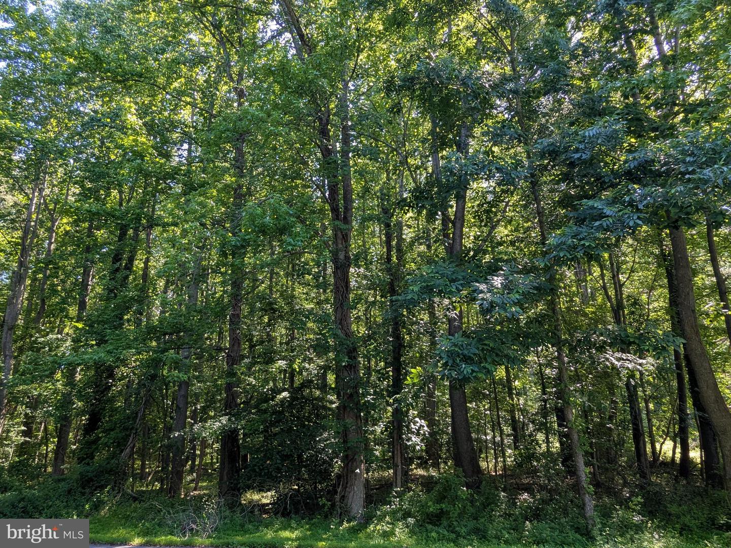 1260 Lottie Fowler Rd Property Photo 12