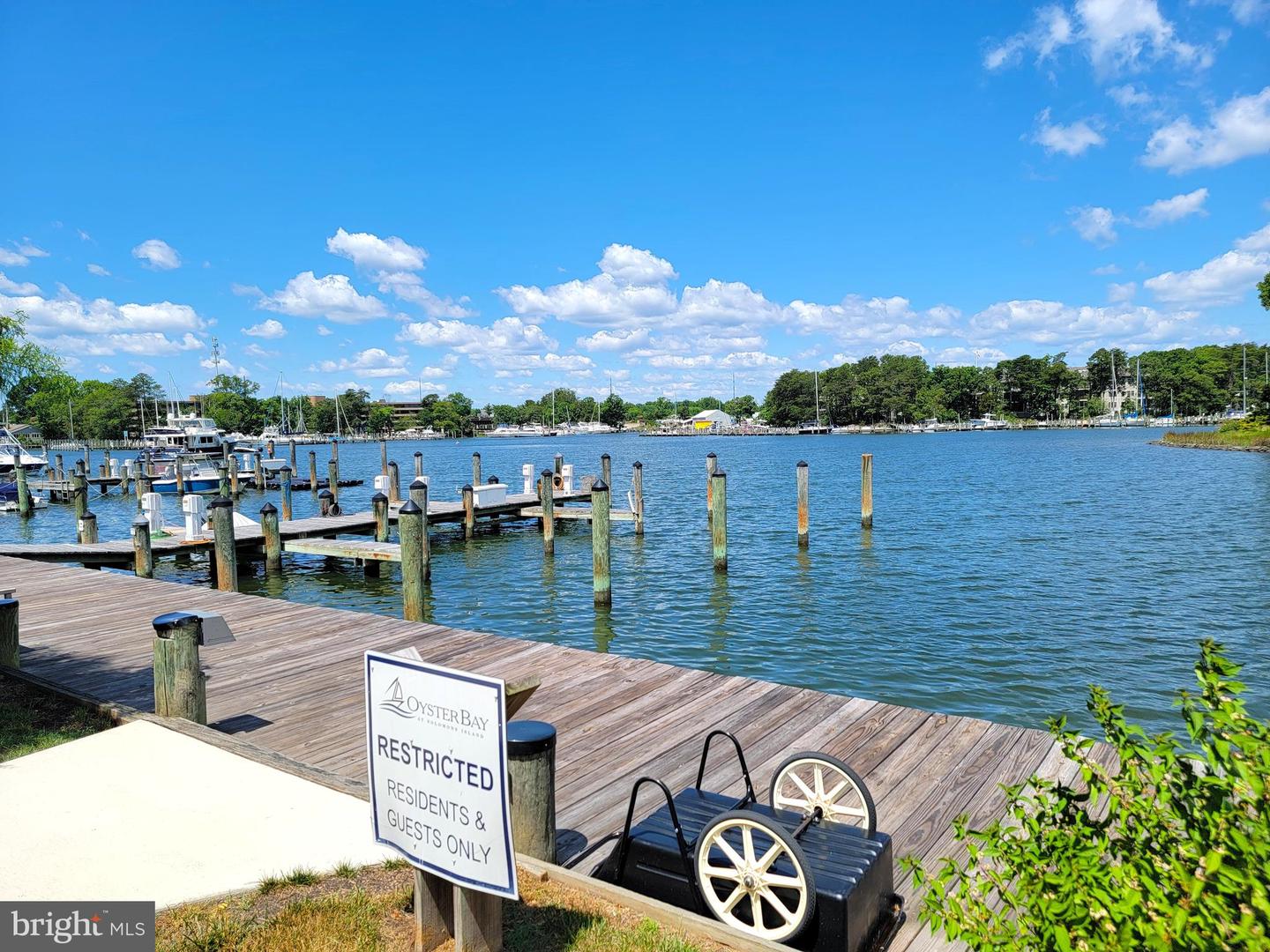 210 Oyster Bay Pl #c2 Property Photo 65