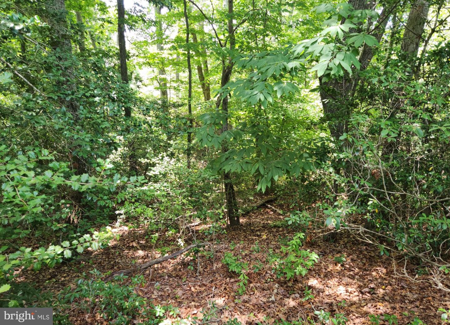409 Stallion Ln Property Photo 4