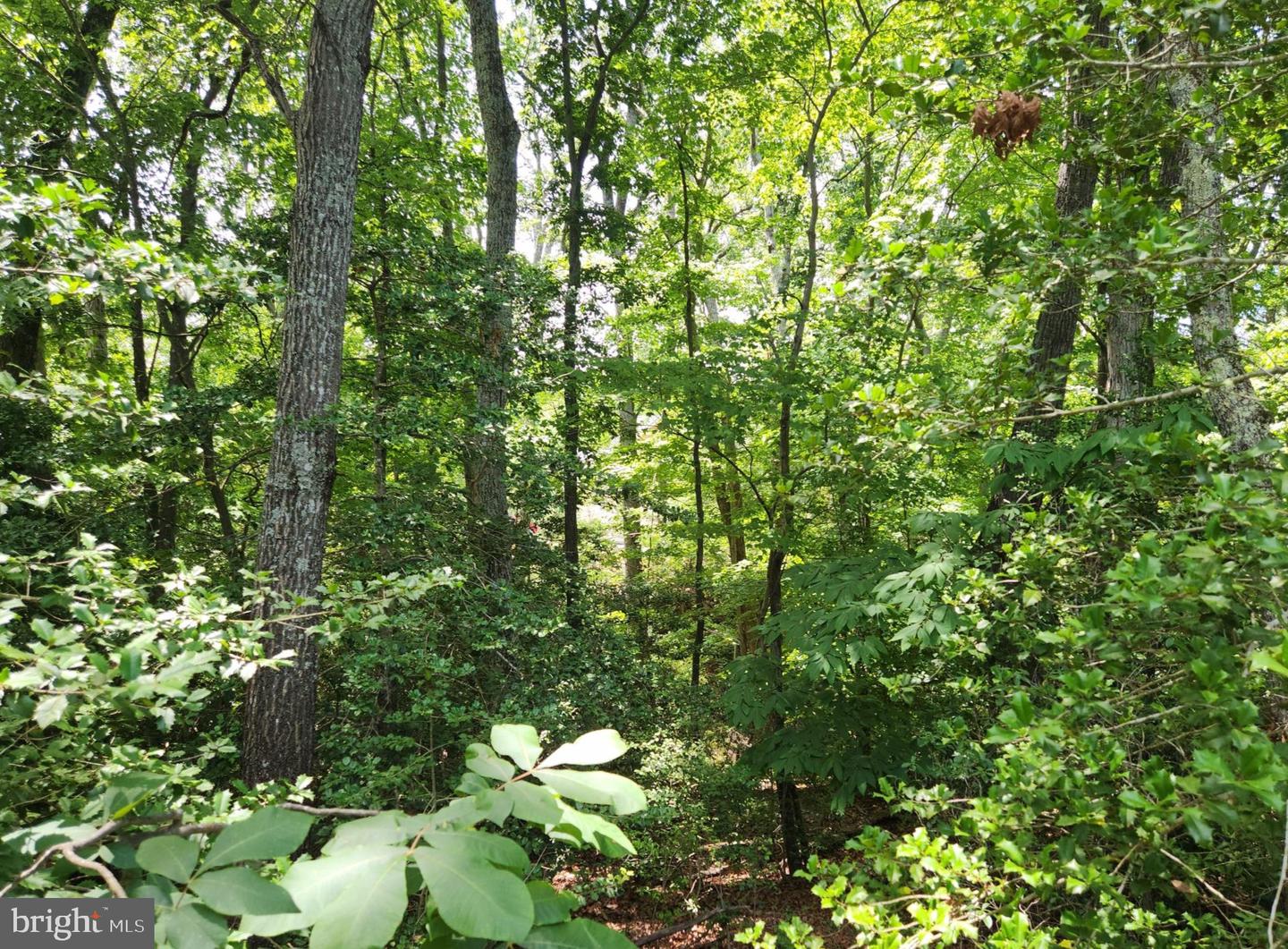 409 Stallion Ln Property Photo 5