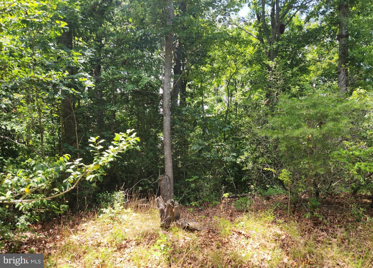 409 Stallion Ln Property Photo 6