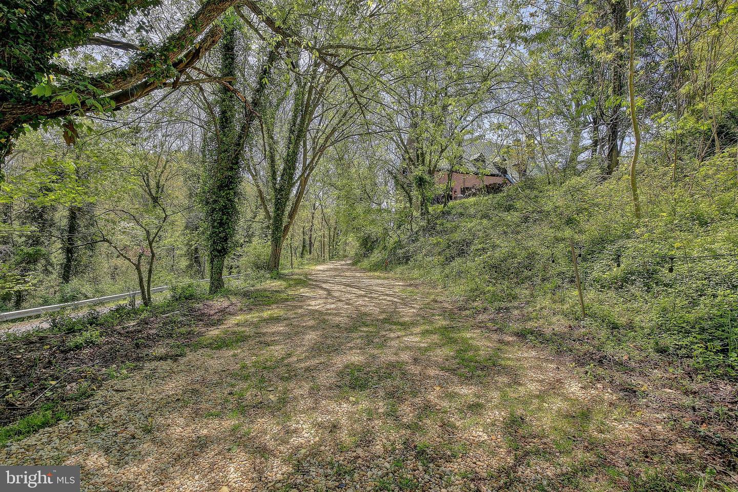 1040 White Sands Dr Property Photo 63
