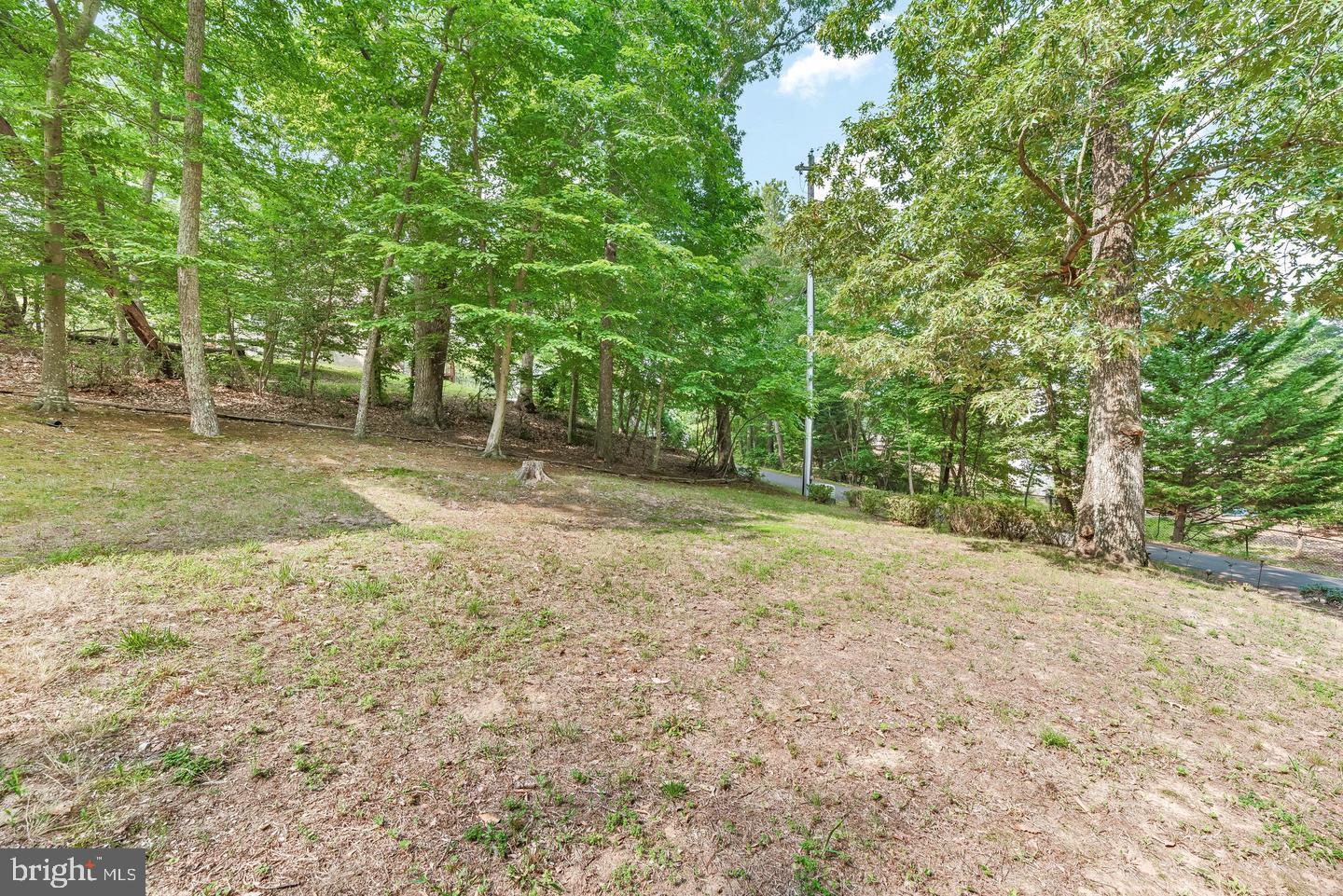 12456 Sedalia Trl Property Photo 18