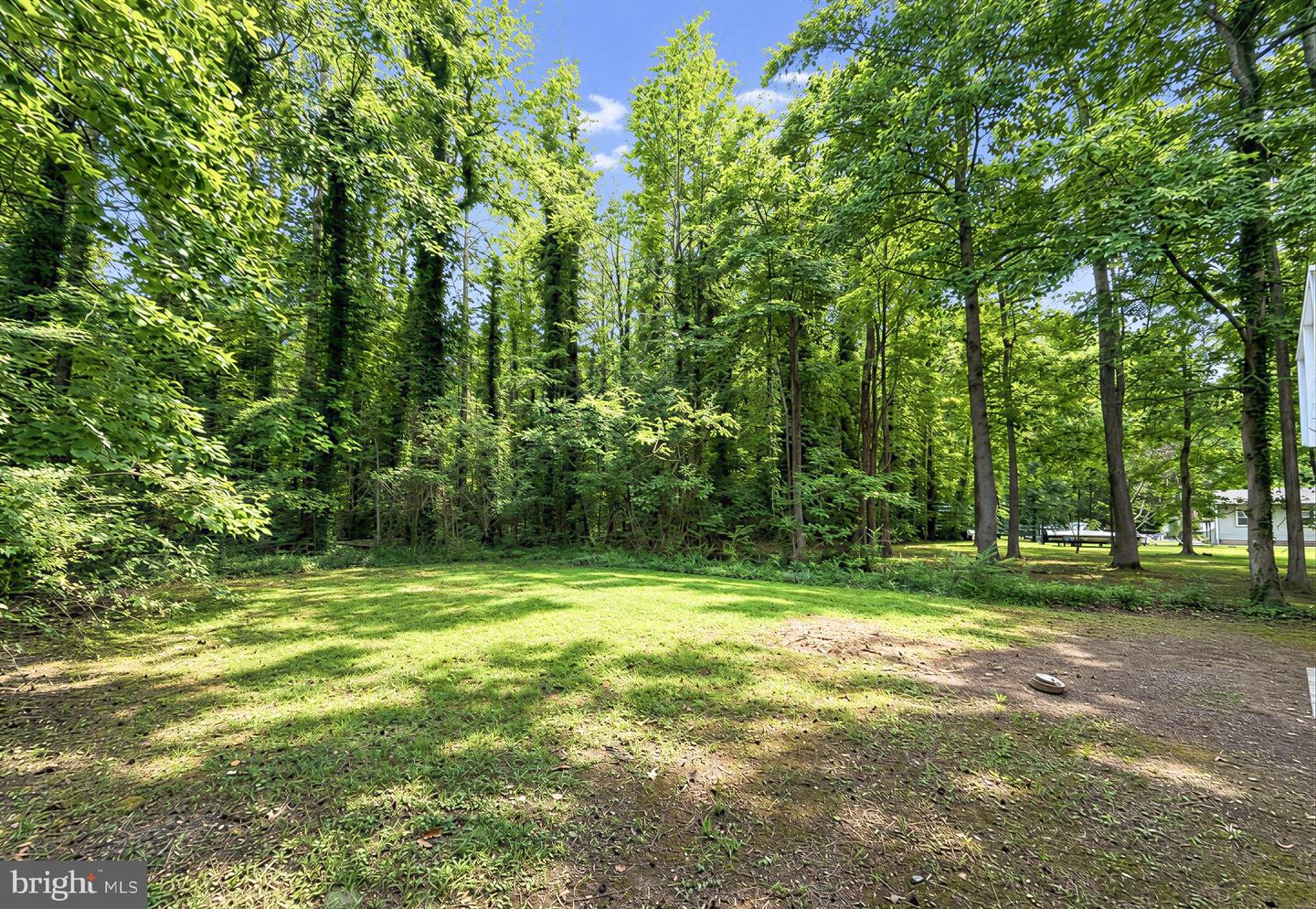 329 Chestnut Dr Property Photo 63