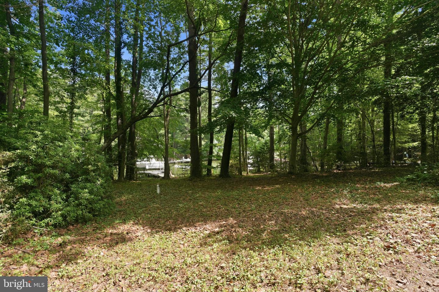 262 Elkins Ln Property Photo 49