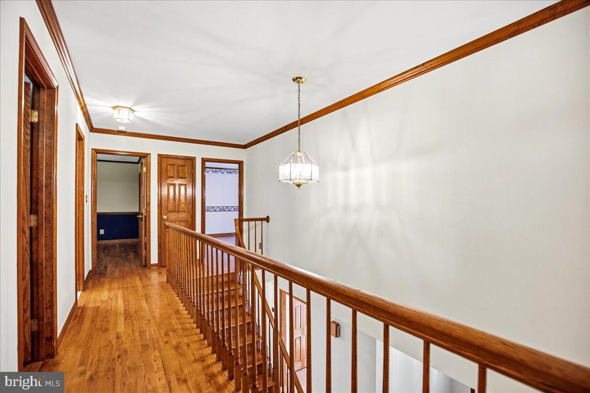 1151 Thompson Ct Property Photo 40